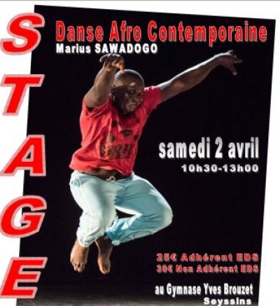 Stage Danse Afro Contemporaine 2 avril